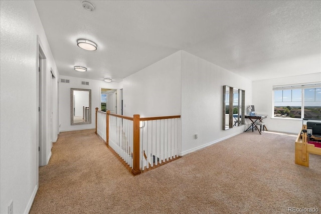 12972 Uinta Ct, Thornton, CO 80602 - hall with carpet flooring, baseboards, and a textured ceiling