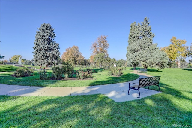 view of home's community featuring a yard