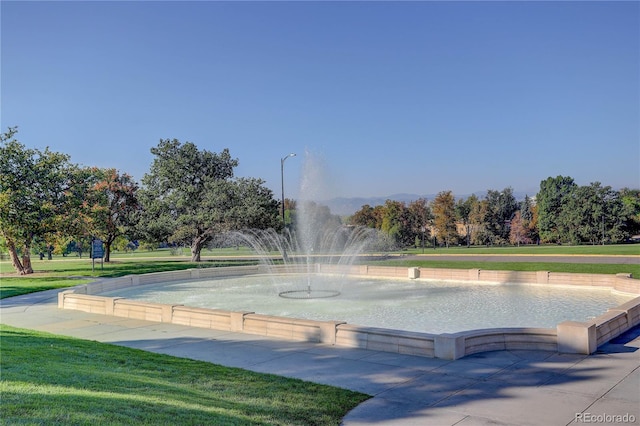 view of community with a yard