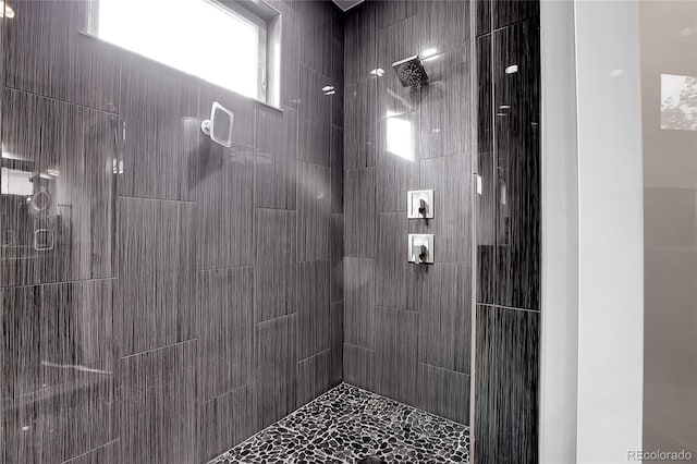 4156 Vrain St, Denver, CO 80212 - bathroom featuring a tile shower