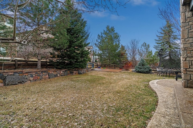 view of yard with a trampoline