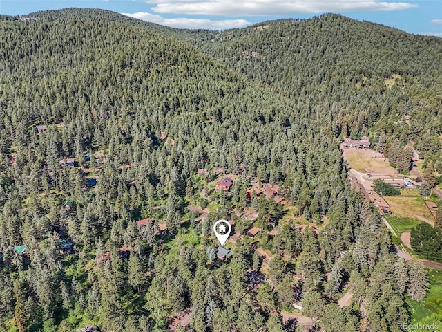 5582 Santa Clara Rd, Indian Hills, CO 80454 - photo 27