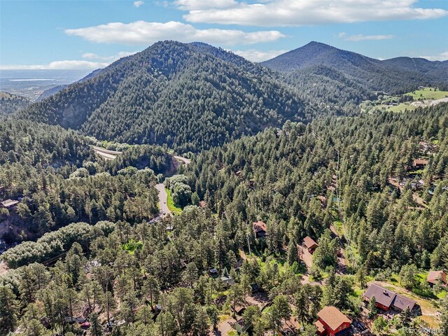 5582 Santa Clara Rd, Indian Hills, CO 80454 - photo 30