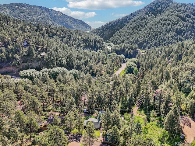 5582 Santa Clara Rd, Indian Hills, CO 80454 - photo 29