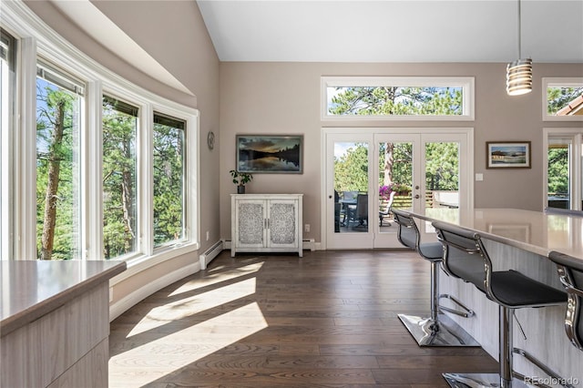 interior space with healthy amount of natural light, dark wood finished floors, lofted ceiling, french doors, and a baseboard radiator