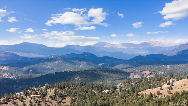 mountain view with a forest