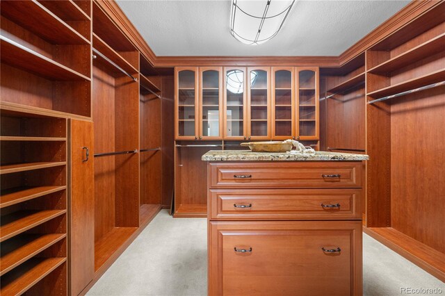 11 Canon Pl, Greenwood Village, CO 80111 - walk in closet with light colored carpet