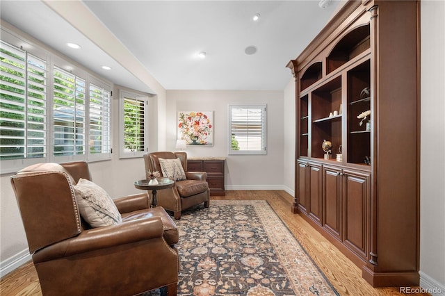 11 Canon Pl, Greenwood Village, CO 80111 - living area with light wood-type flooring and recessed lighting