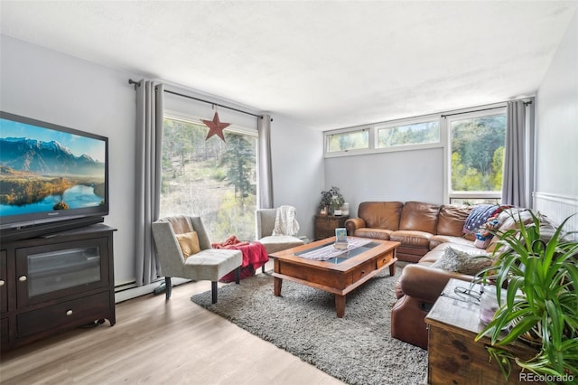 11827 Brook Rd, Golden, CO 80403 - living area with light wood-type flooring and a baseboard radiator
