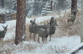 11827 Brook Rd, Golden, CO 80403 - view of home's community