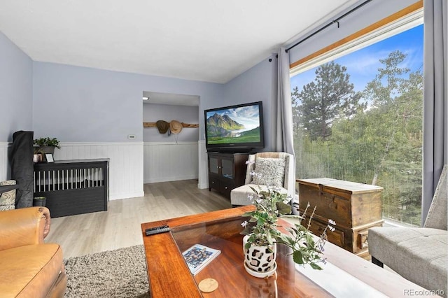 11827 Brook Rd, Golden, CO 80403 - living area featuring wood finished floors and a wainscoted wall