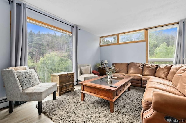 11827 Brook Rd, Golden, CO 80403 - living area with wood finished floors