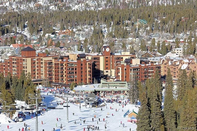645 S Park Ave Unit 302, Breckenridge, CO 80424 - view of city with a forest