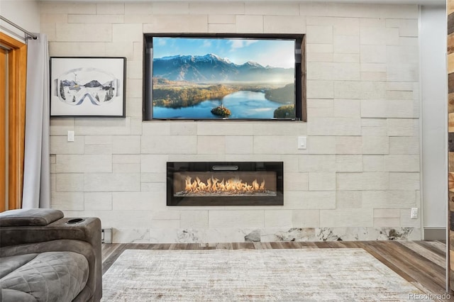 645 S Park Ave Unit 302, Breckenridge, CO 80424 - detailed view of a fireplace and wood finished floors