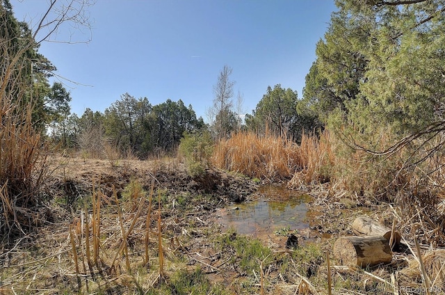 12500 County Road 258a, Salida, CO 81201 - photo 49