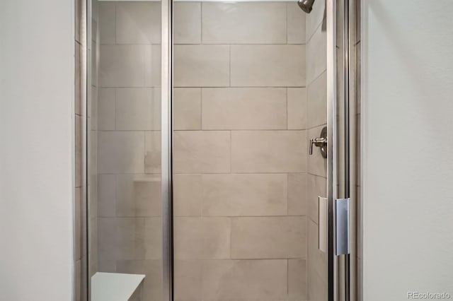 370 Geneva St, Aurora, CO 80010 - bathroom with a stall shower