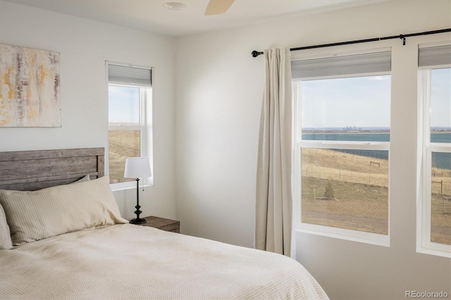 16568 W 92nd Pl, Arvada, CO 80007 - bedroom featuring a ceiling fan