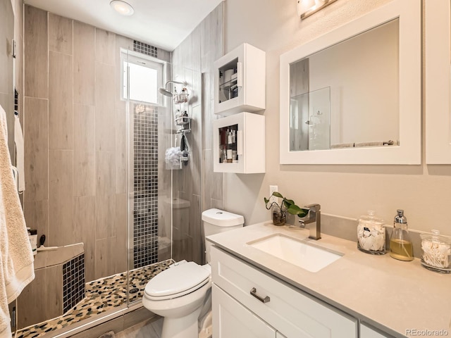 full bathroom featuring toilet, a stall shower, and vanity