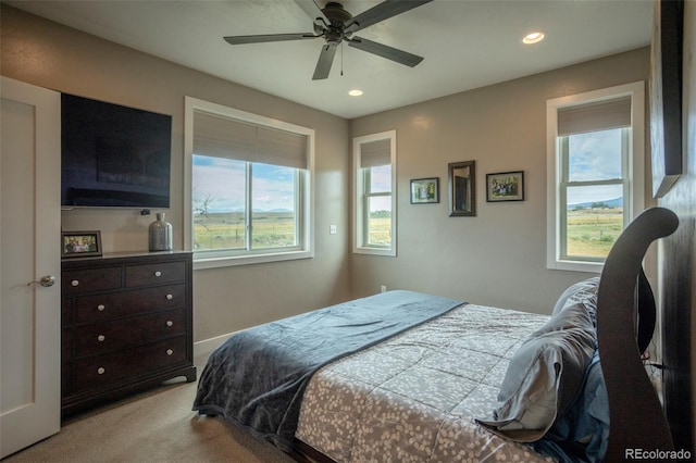 12531 Ce Ce Ln, Nathrop, CO 81236 - photo 21