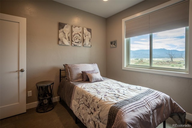 12531 Ce Ce Ln, Nathrop, CO 81236 - photo 30
