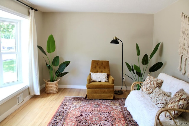 living area featuring wood-type flooring