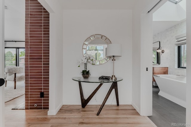 corridor featuring a healthy amount of sunlight and light hardwood / wood-style flooring