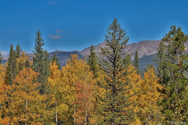 property view of mountains