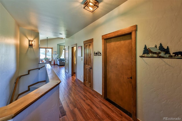 hallway featuring dark hardwood / wood-style floors