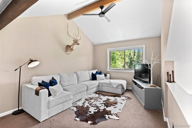 carpeted living room featuring ceiling fan and lofted ceiling with beams