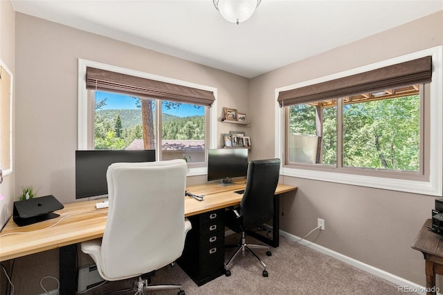 office area with carpet floors