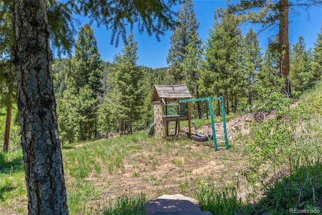 view of jungle gym