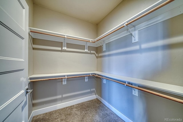 spacious closet with carpet flooring