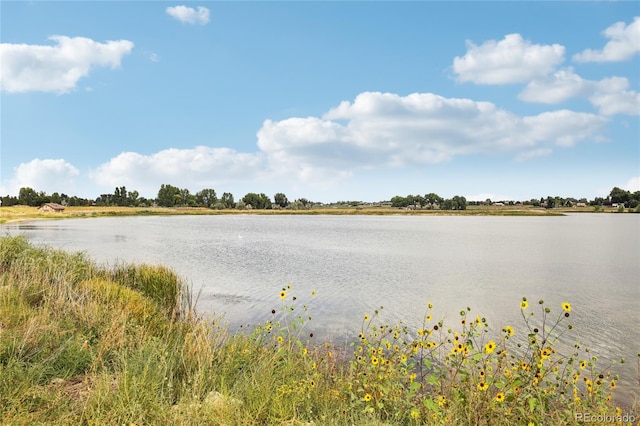 property view of water