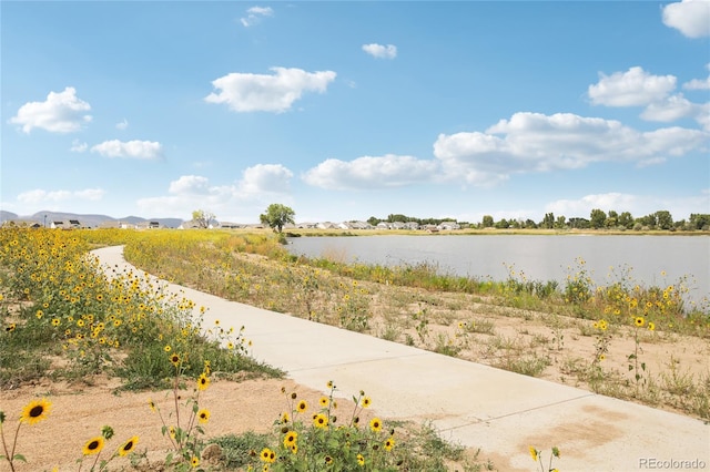 property view of water