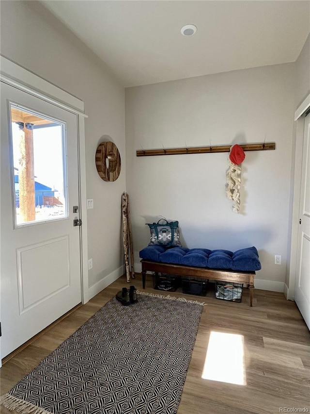 mudroom with light wood-type flooring