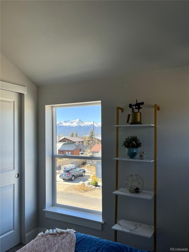 room details with a mountain view