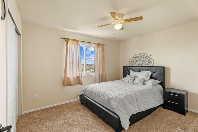 4651 Dancing Rain Way, Colorado Springs, CO 80911 - photo 14