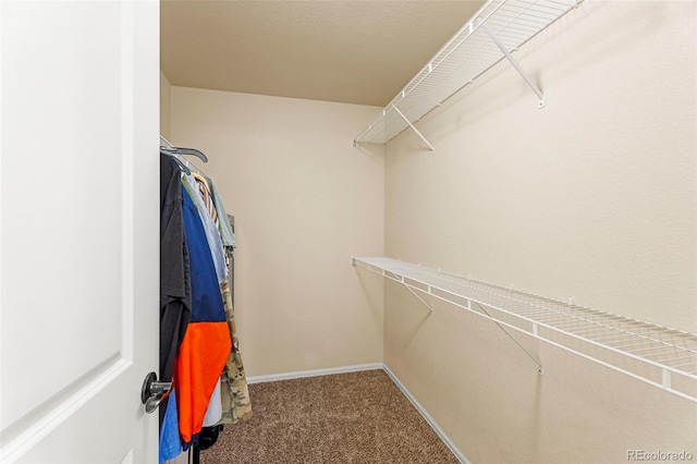 4651 Dancing Rain Way, Colorado Springs, CO 80911 - photo 21