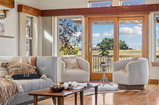 living room with a healthy amount of sunlight and hardwood / wood-style floors