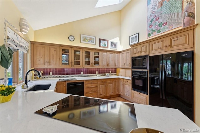 2611 Fox Acres Dr E, Red Feather Lakes, CO 80545 - photo 8