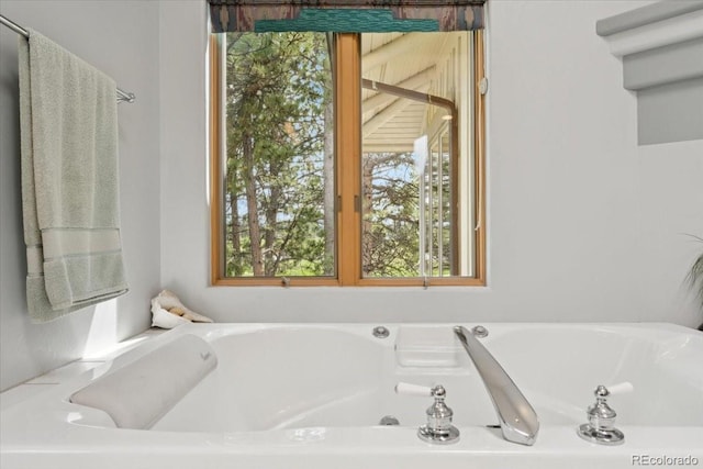 2611 Fox Acres Dr E, Red Feather Lakes, CO 80545 - photo 30