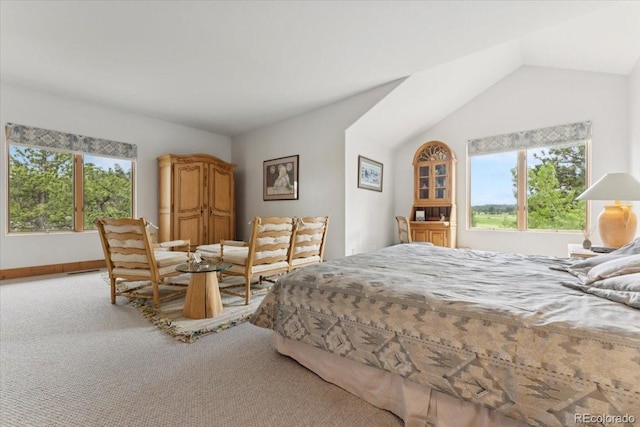 2611 Fox Acres Dr E, Red Feather Lakes, CO 80545 - photo 37