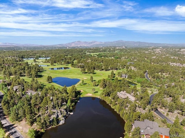 2611 Fox Acres Dr E, Red Feather Lakes, CO 80545 - photo 49