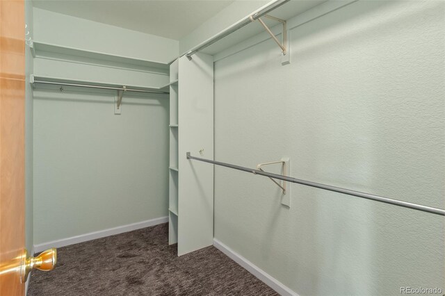 1545 August Ln, Brighton, CO 80601 - photo 16