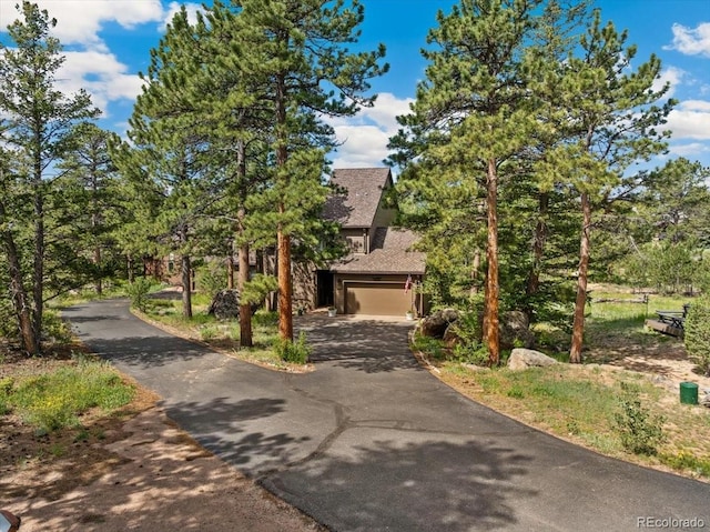40 3 Lakes Ct, Red Feather Lakes, CO 80545 - photo 3