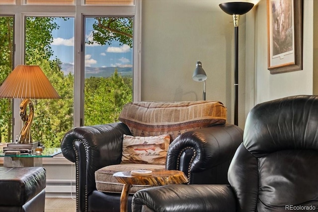 40 3 Lakes Ct, Red Feather Lakes, CO 80545 - photo 9