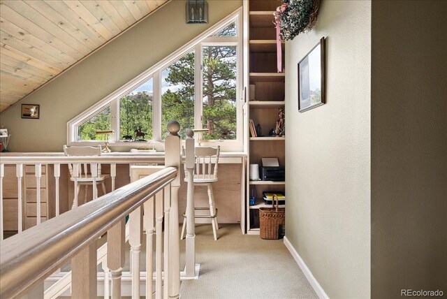 40 3 Lakes Ct, Red Feather Lakes, CO 80545 - photo 23