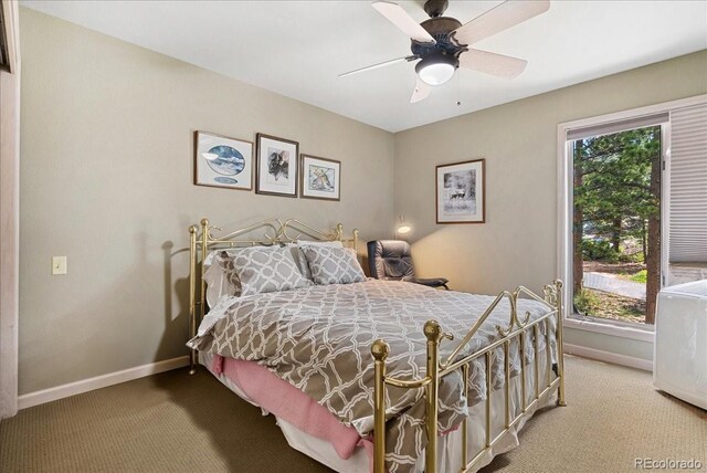 40 3 Lakes Ct, Red Feather Lakes, CO 80545 - photo 29