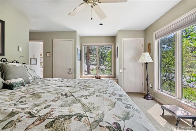 40 3 Lakes Ct, Red Feather Lakes, CO 80545 - photo 32