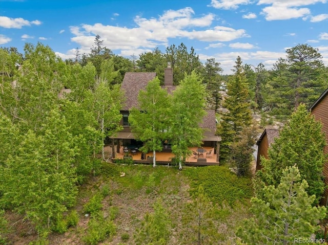 40 3 Lakes Ct, Red Feather Lakes, CO 80545 - photo 46